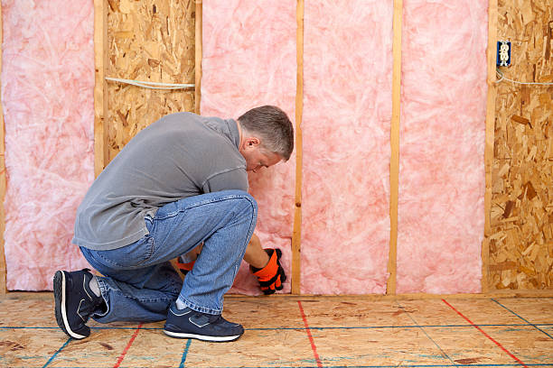 Best DIY Insulation Kits and Guidance in Kingston, WA